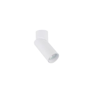 Downlighter INDIA WH CG IP20