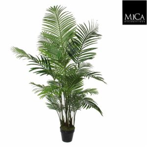 Areca palm in pot green - h160xd80cm