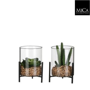 Succulent green 2 assorted - h15xd13cm