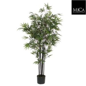 Bamboo green in plastic pot - h150xd95cm