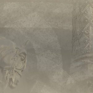 art.20