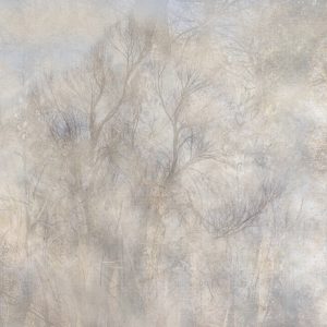 art.22