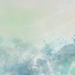 art.25