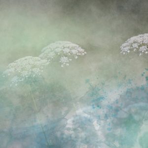 art.28
