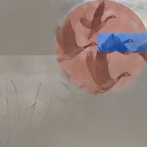art.31