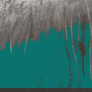 art.2